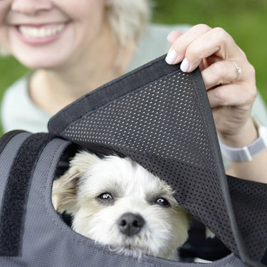 KLICKfix Doggy Sunshade - Sonnenschutz (schwarz) - Ansicht 5