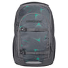 Coocazoo Every - Mochila escolar 44 cm (arrow drift)